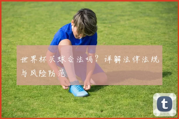 世界杯买球合法吗？详解法律法规与风险防范