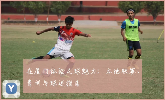 在厦门体验足球魅力：本地联赛、青训与球迷指南