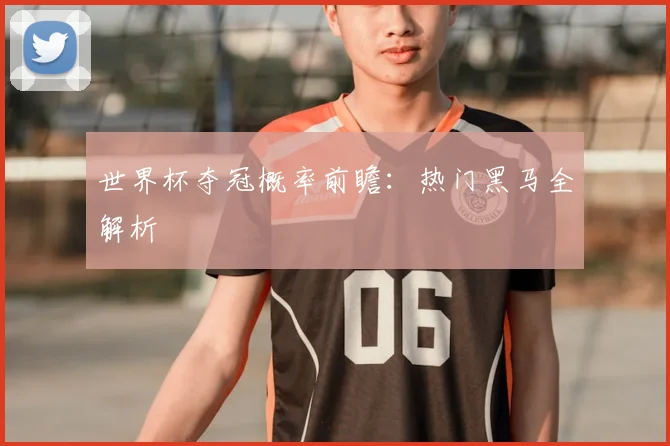 世界杯夺冠概率前瞻：热门黑马全解析